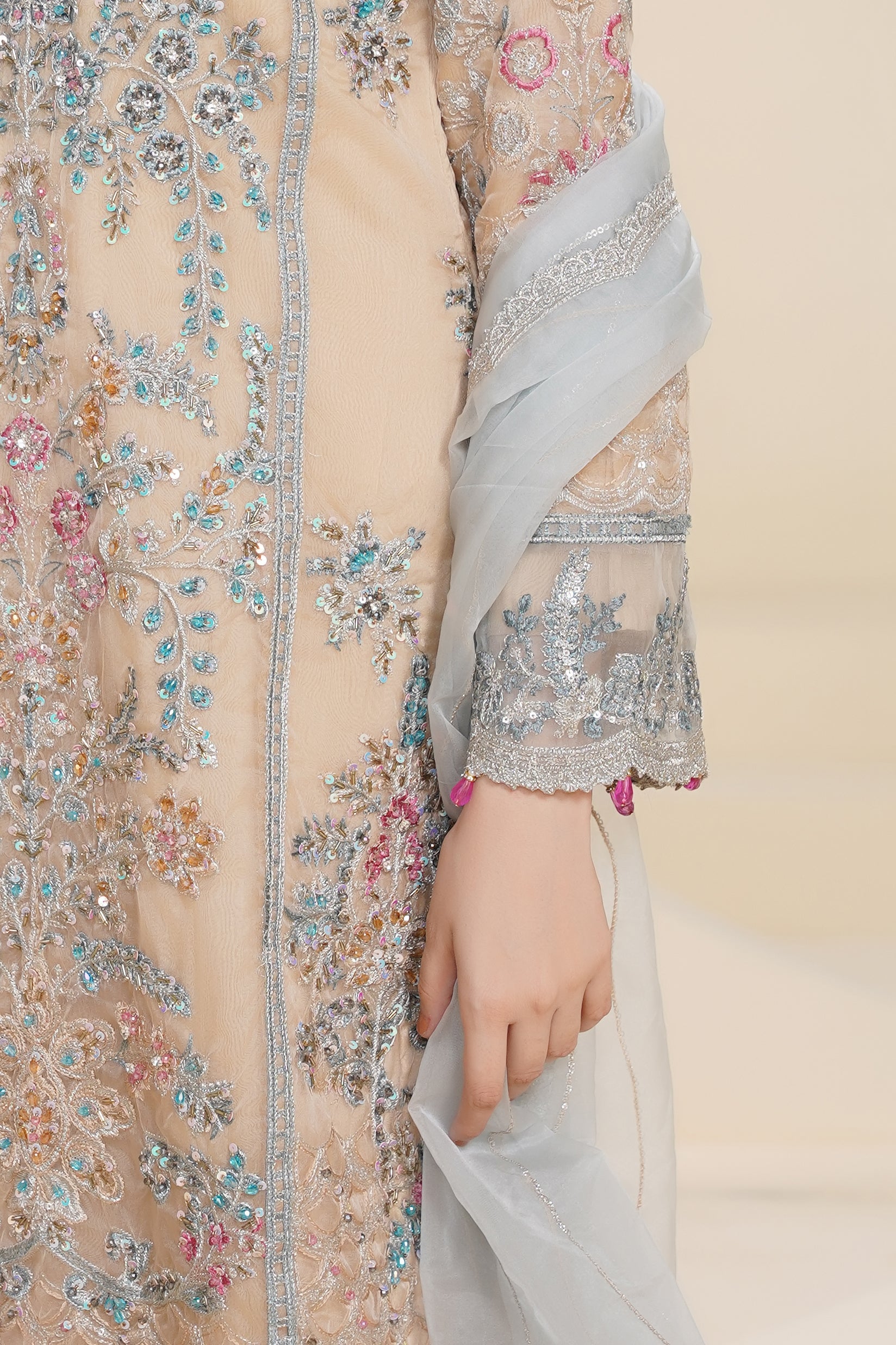 Tehwar - Luxury Organza Outfit - Festive Collection - Ready to Wear - V7 - D1 - Eid25 - 1