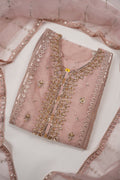 Tehwar - Luxury Organza Outfit - Festive Collection - Ready to Wear - Eid25 - TEHV8D2-SD